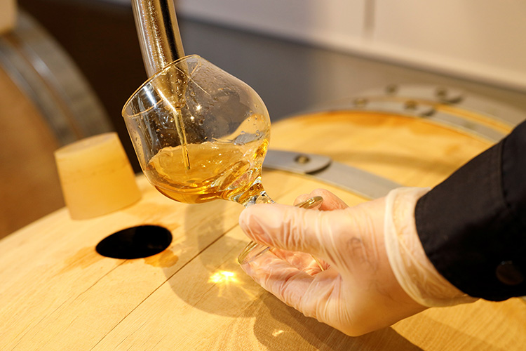 モホドリ蒸溜研究所 工場見学