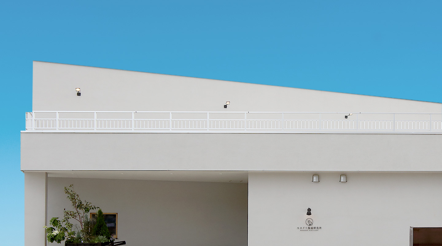 モホドリ蒸溜研究所 工場見学